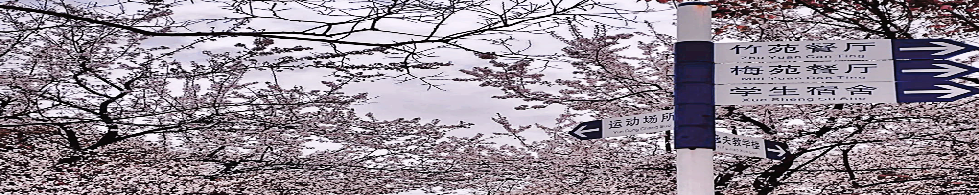 轮播7
